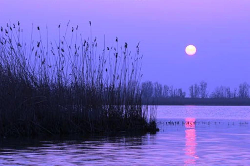 Residence Cleo Лідо-дельї-Естензі Екстер'єр фото